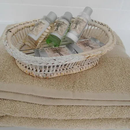 Chambre D Hote : Louvre Elegant Apt Suite Bed & Breakfast 4*